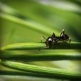 /album/marketingennosotros/photolia-a05-jpg/